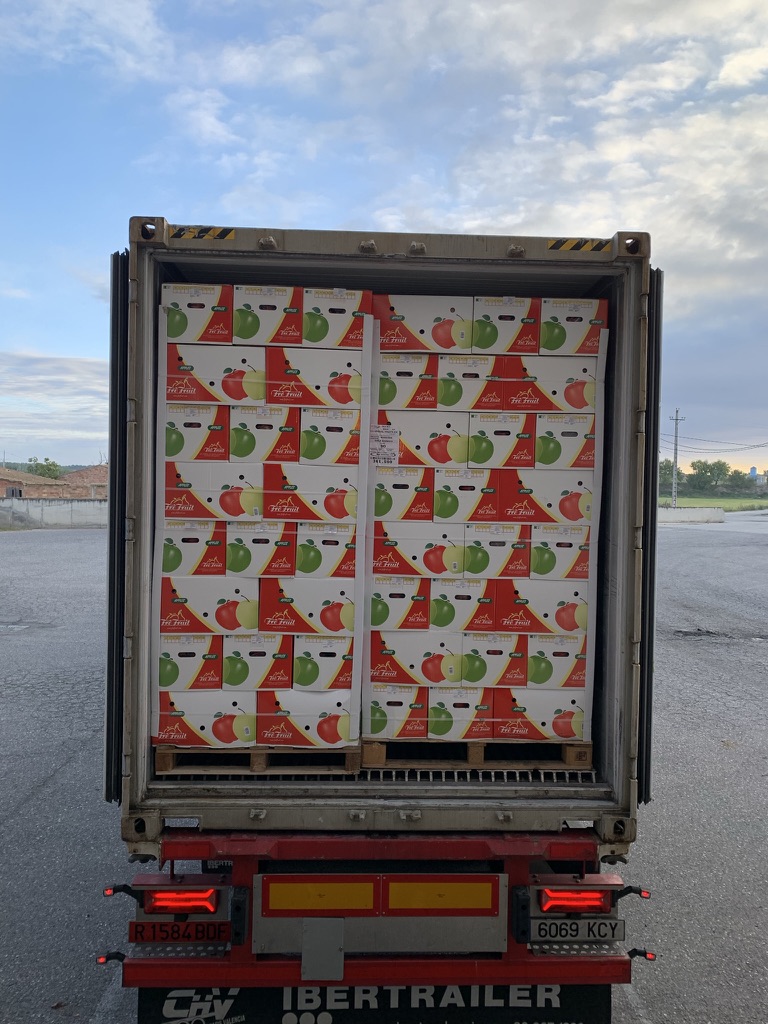 Container loaded with Frifruit boxes ready for shipment