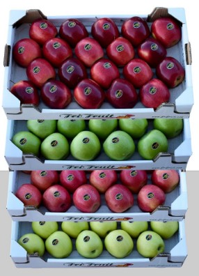 Frifruit boxes of red and green apples of different varieties
